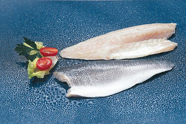 Loup de mer - Wolfsbarschfilet mit Haut