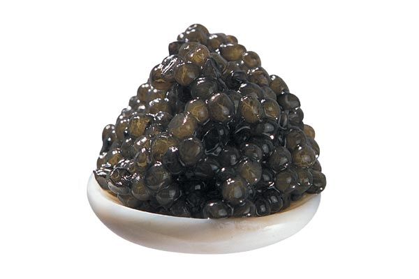 Caviar d Aquitaine