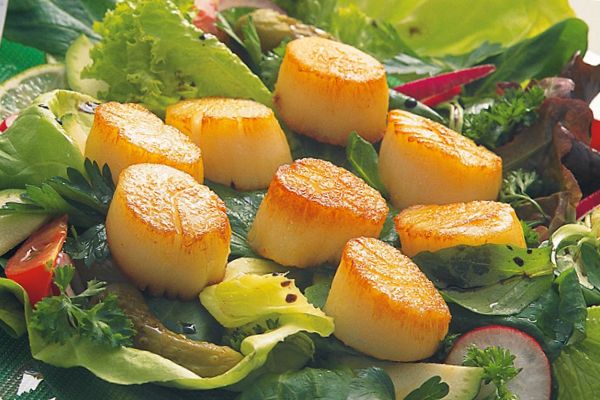 Riesen-Scallops