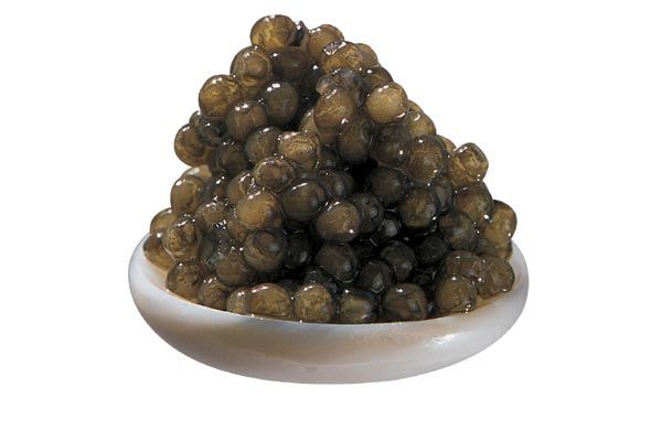 Imperial-Caviar aus Israel