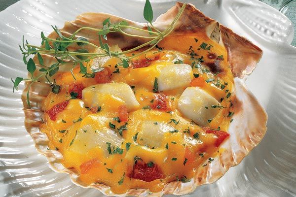 Coquilles Creole