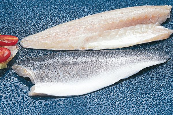 Wolfsbarschfilet mit Haut (7-8 Stück)