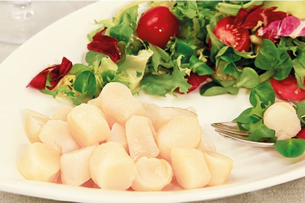 Patagonische Scallops