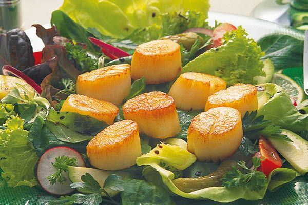 Scallops
