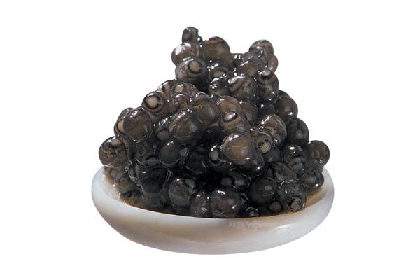 Sterlatka-Caviar